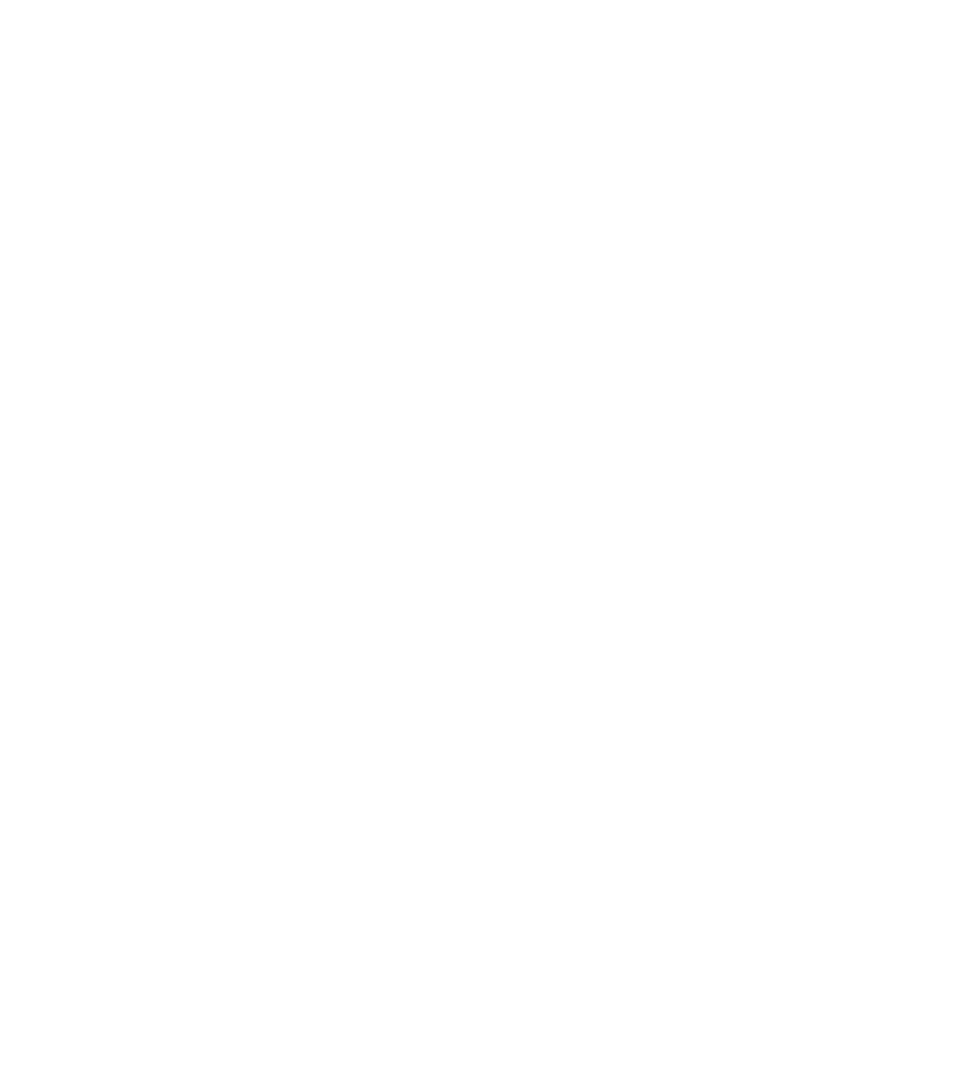Bridger Logo
